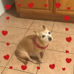 Meet your Posher, Idania